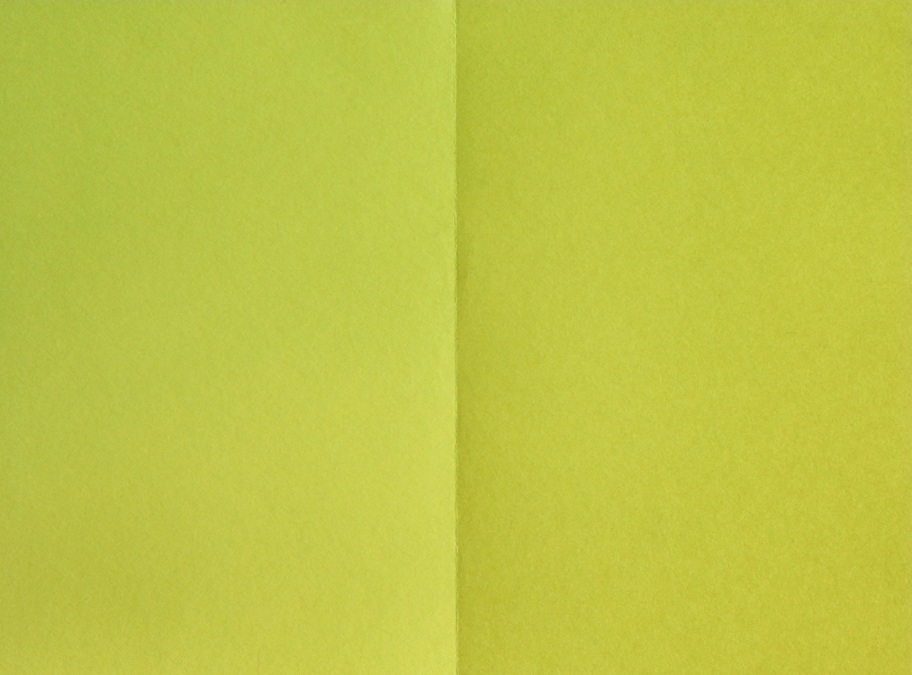 http://www.eunsunlee.com/files/gimgs/th-23_yellow1-1000.jpg